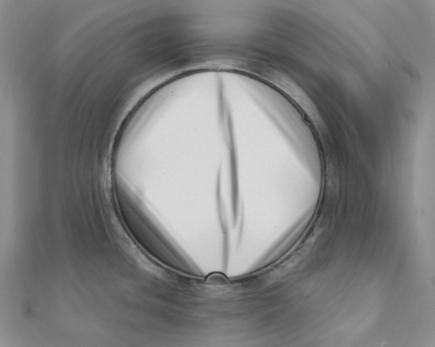 X0000112081436200909011034