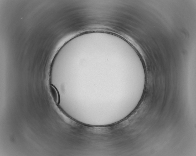 X0000112081437200909011034