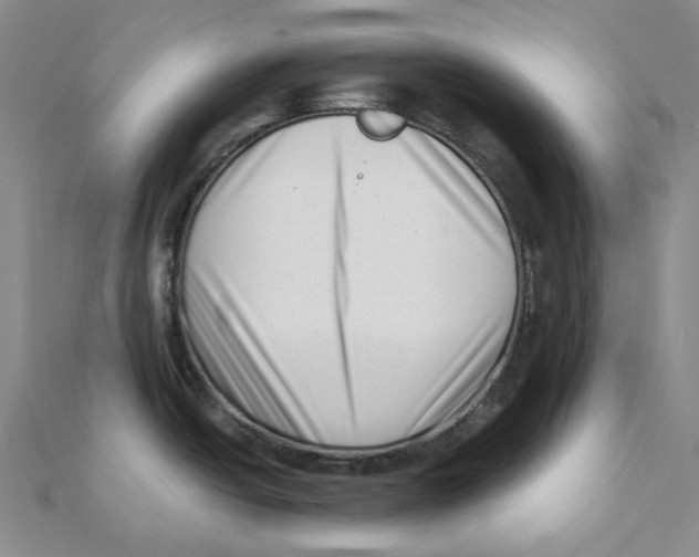 X0000112081438200909011035