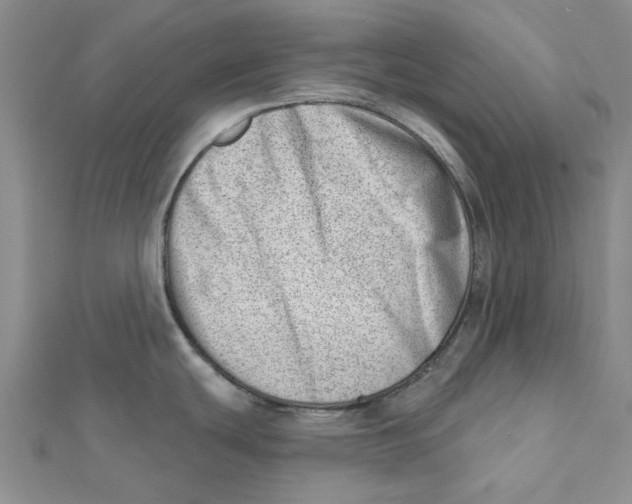 X0000112081439200909011035