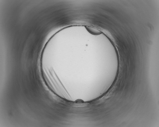 X0000112081440200909011035