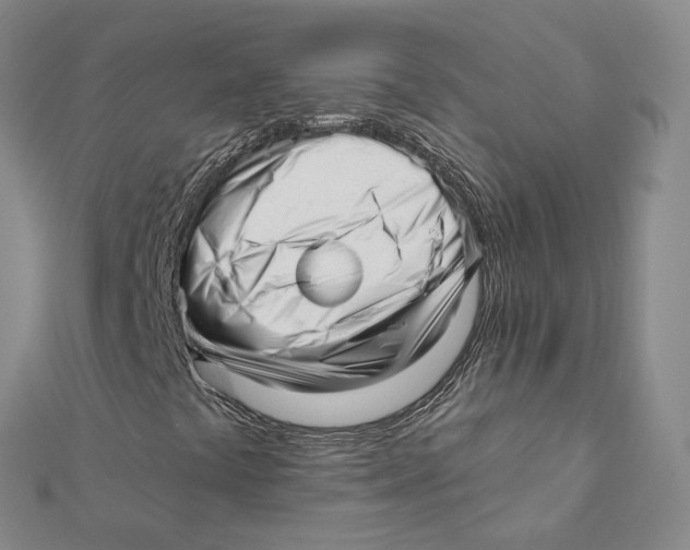X0000112081441200909011034