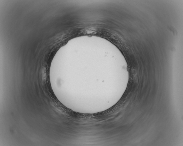 X0000112081442200909011034