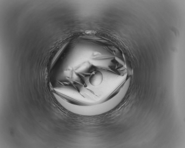 X0000112081443200909011034