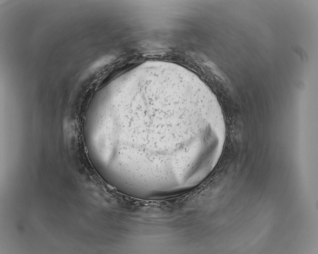 X0000112081445200909011034