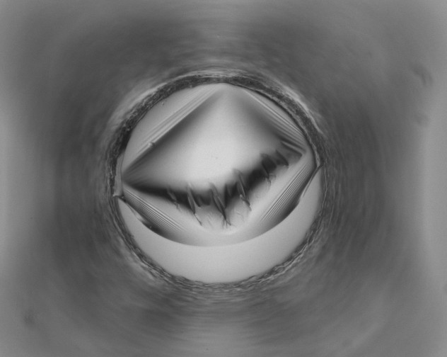 X0000112081448200909011034
