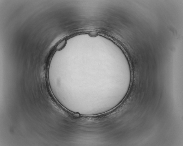 X0000112081450200909011034