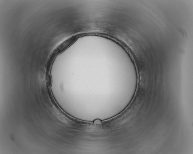 X0000112081452200909011034