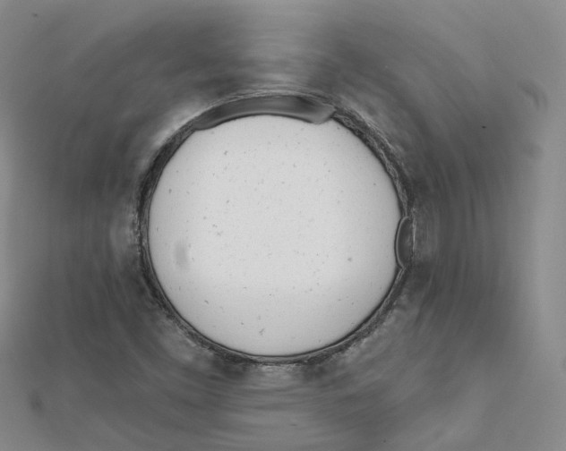 X0000112081453200909011034