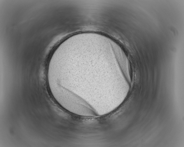 X0000112081454200909011034