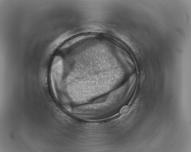 X0000112081455200909011034