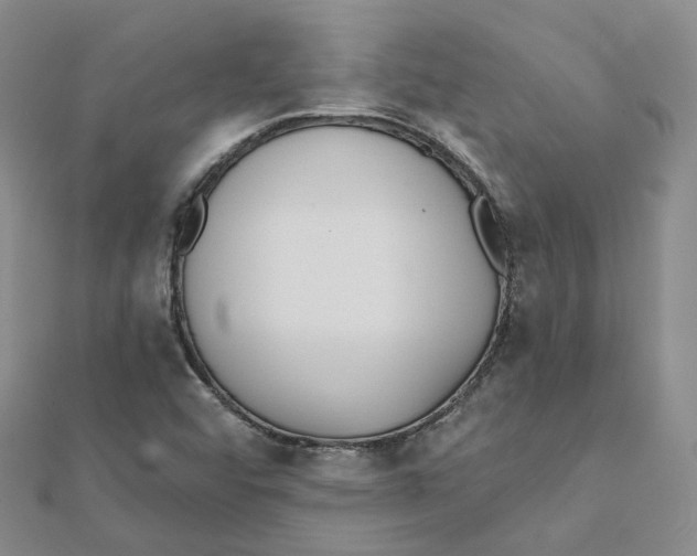 X0000112081456200909011034