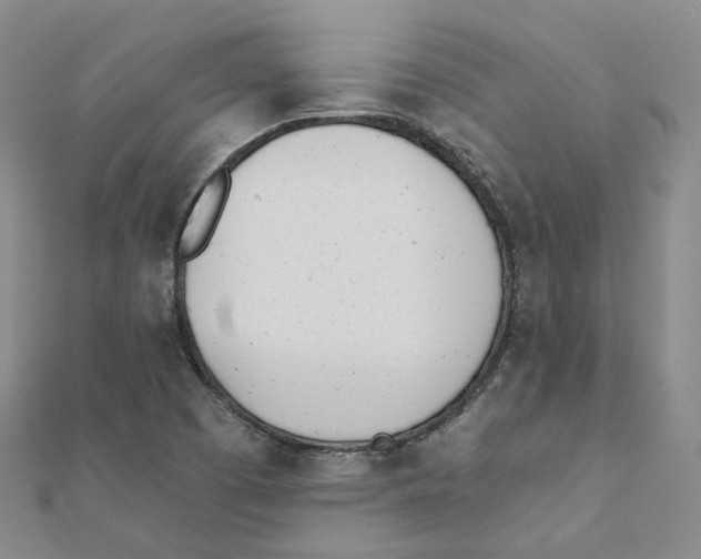 X0000112081457200909011034