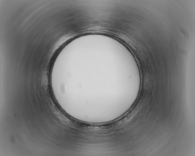 X0000112081458200909011034