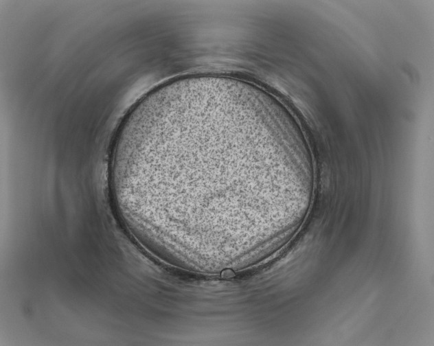 X0000112081459200909011034