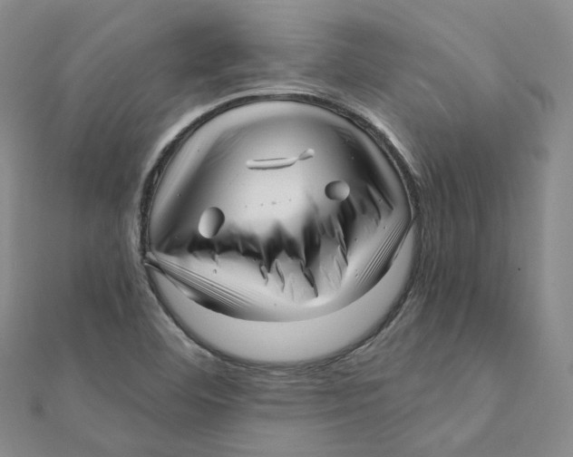 X0000112081460200909011034