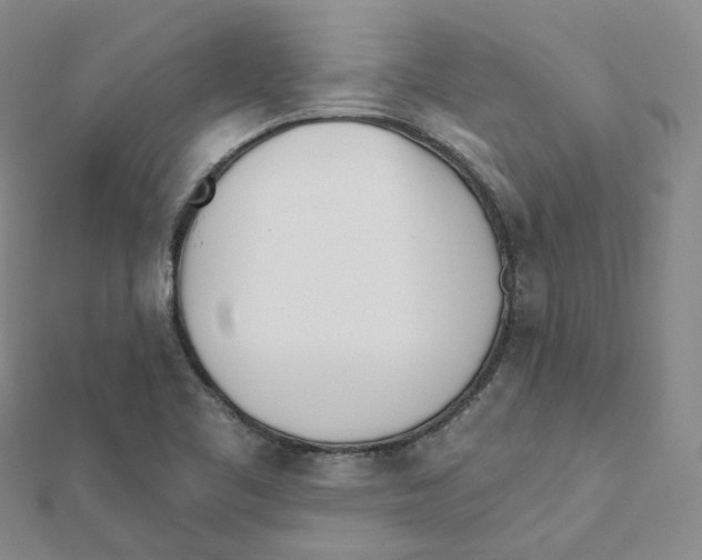 X0000112081461200909011034