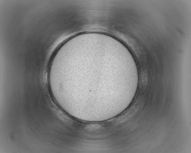 X0000112081462200909011034