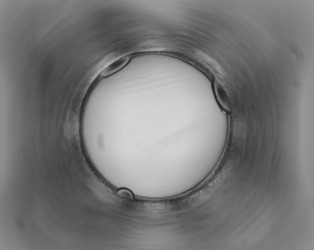 X0000112081465200909011034
