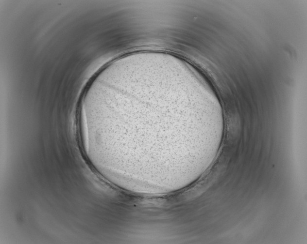 X0000112081466200909011033