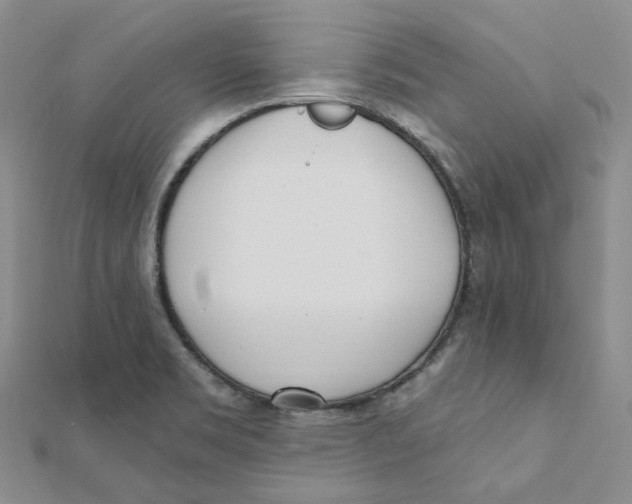 X0000112081469200909011033