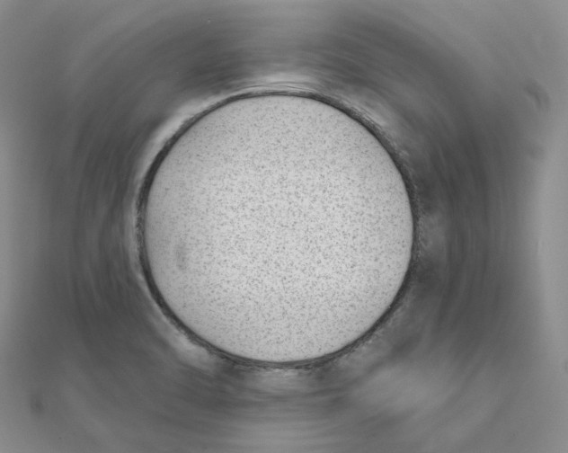 X0000112081470200909011033