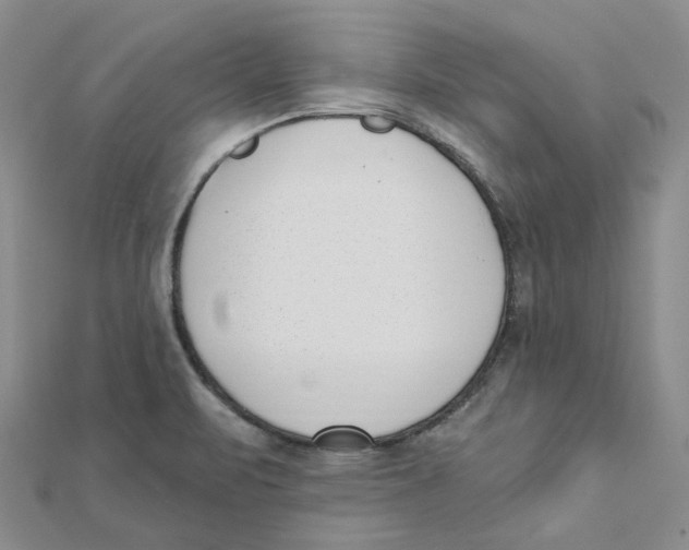 X0000112081471200909011033