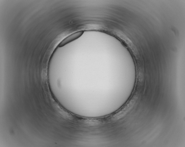 X0000112081473200909011033