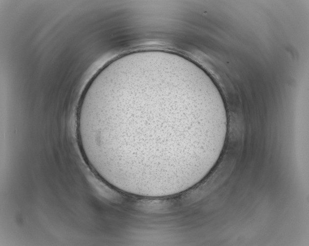 X0000112081474200909011033