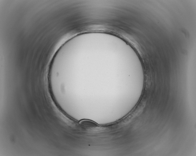 X0000112081475200909011033