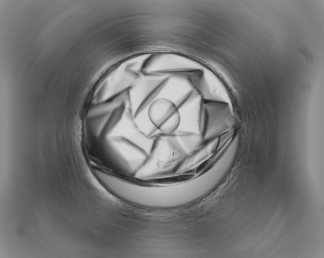 X0000112081476200909011033