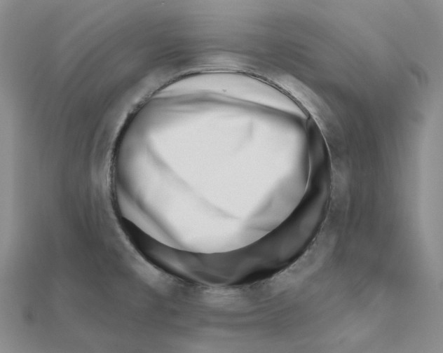X0000112081477200909011033
