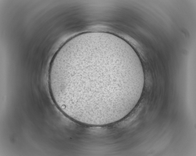 X0000112081478200909011033