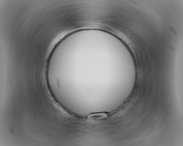 X0000112081480200909011033