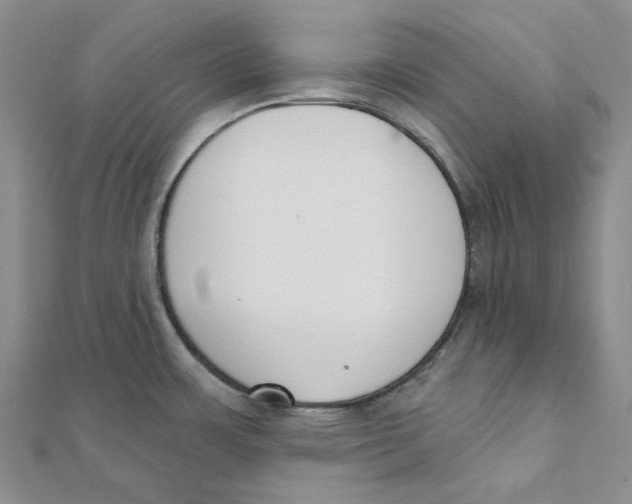 X0000112081483200909011033