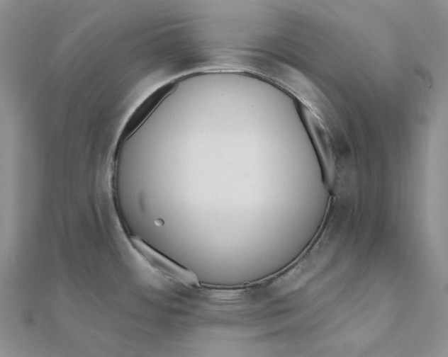 X0000112081484200909011033