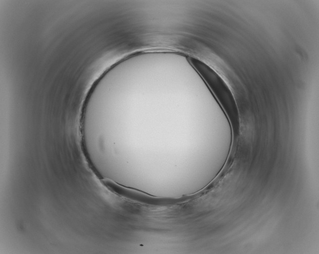 X0000112081485200909011033