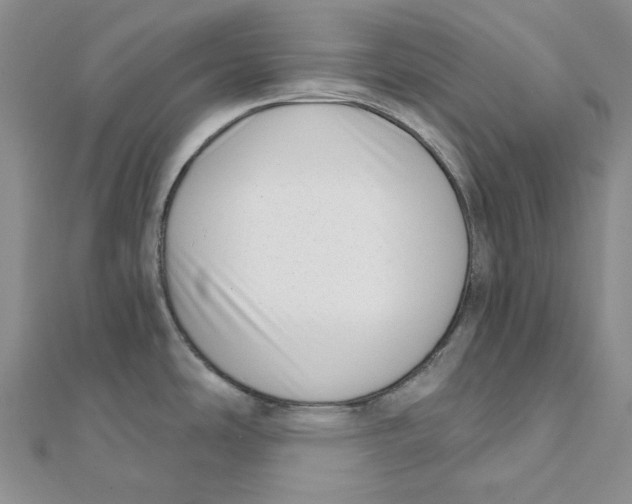 X0000112081486200909011033