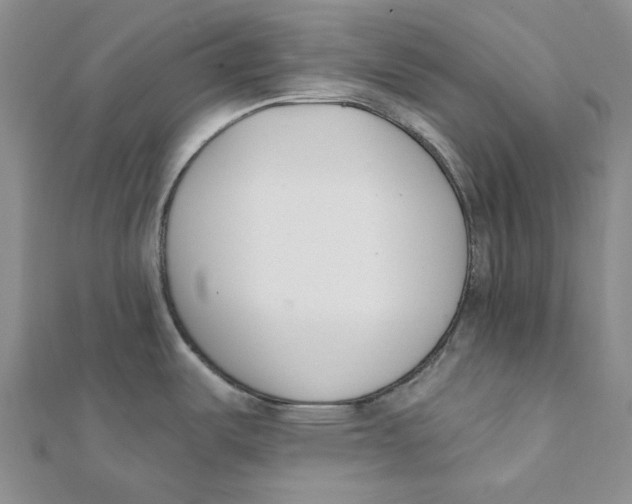 X0000112081487200909011033