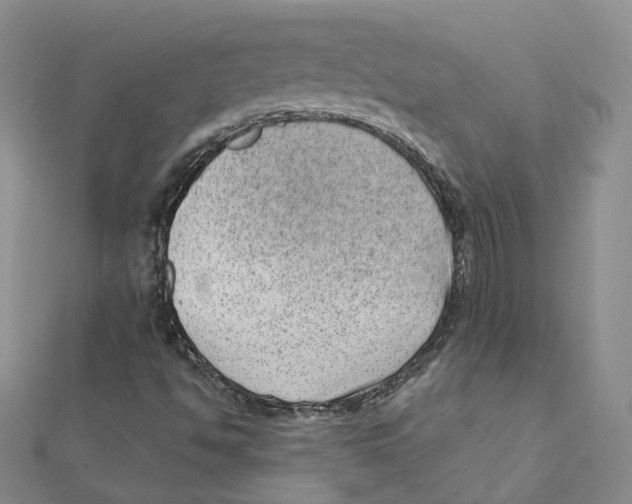 X0000112081494200909011033