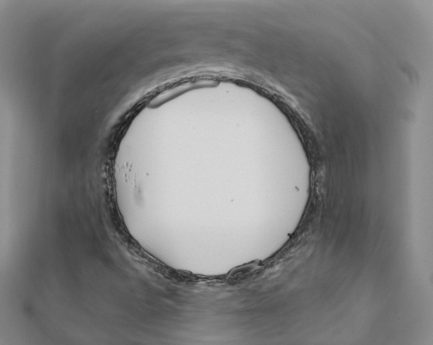 X0000112081496200909011033