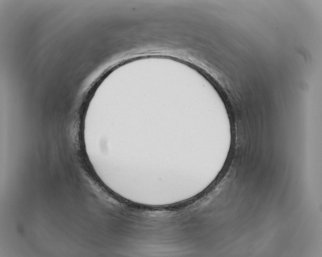 X0000112081502200909011033