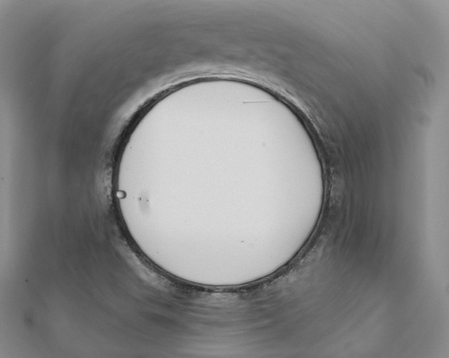 X0000112081503200909011033
