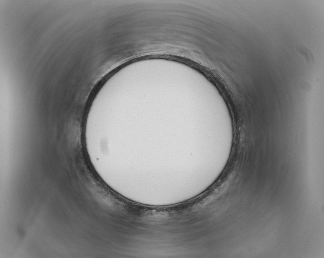 X0000112081505200909011033