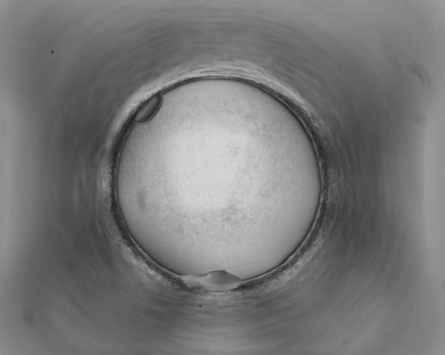 X0000112081506200909011033