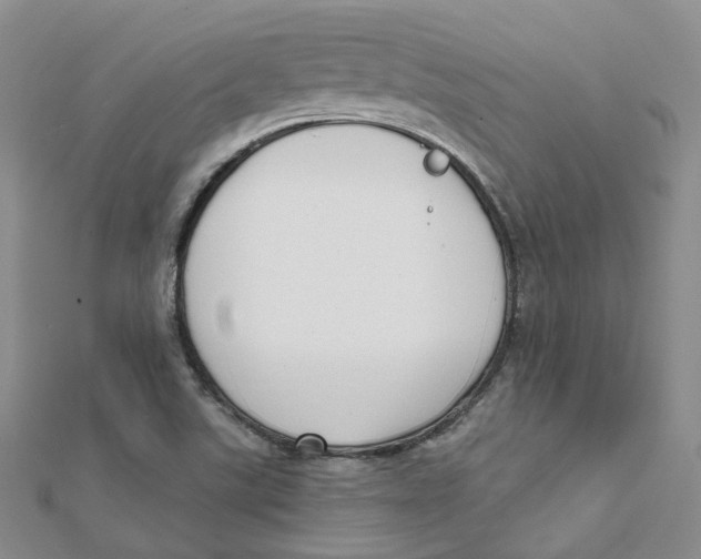 X0000112081507200909011033