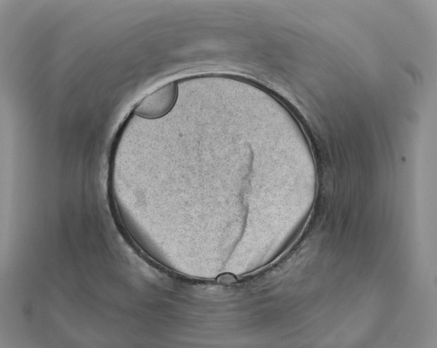 X0000112081508200909011033