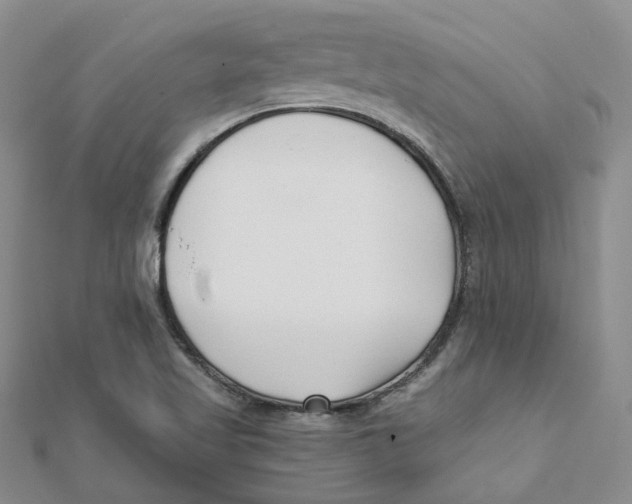 X0000112081509200909011033