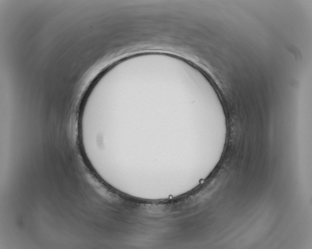 X0000112081511200909011033