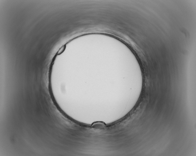 X0000112081512200909011033